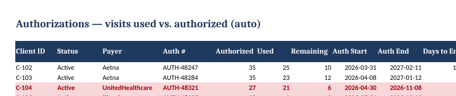 Authorizations tab with sample data: one row per client ID code showing payer, authorization number, visits authorized, used and remaining, start and end dates, and alerts for low visits or upcoming expiry.