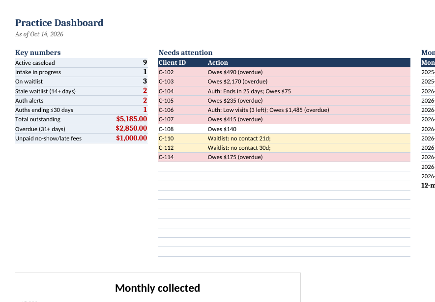 Practice Dashboard tab with sample data: key numbers such as active caseload and total outstanding, a needs-attention list by client ID code, monthly revenue table, and a bar chart of monthly collections.